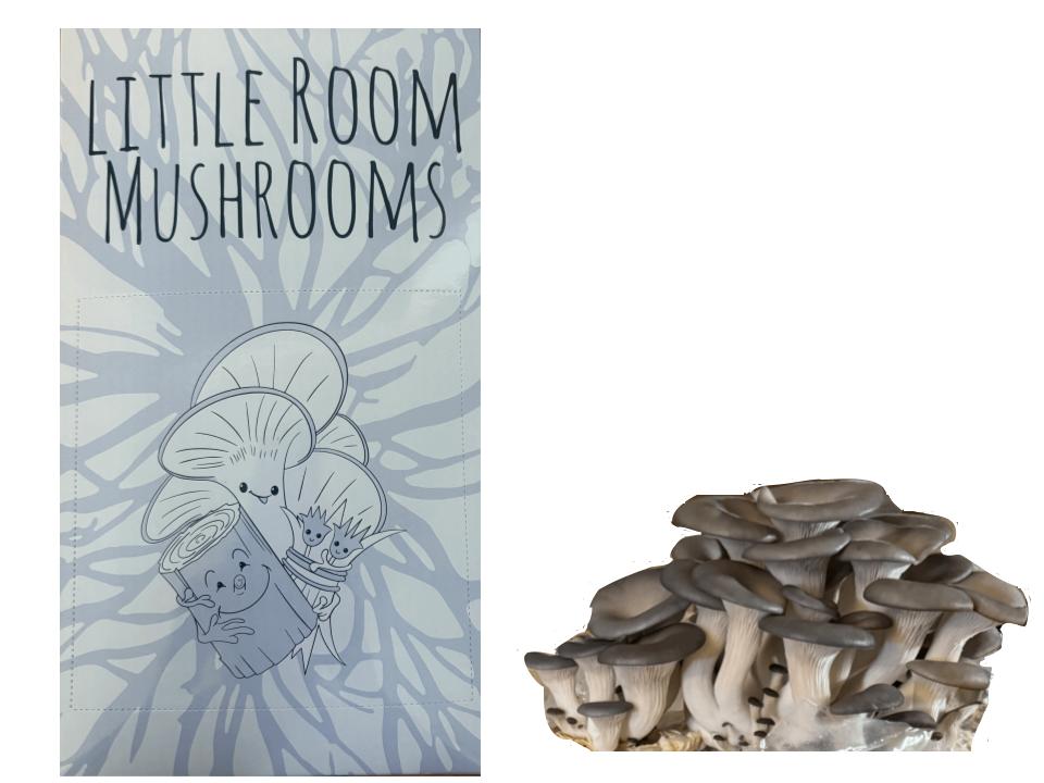 Blue Oyster Mushroom Kit